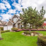 best lawn, best lawn care