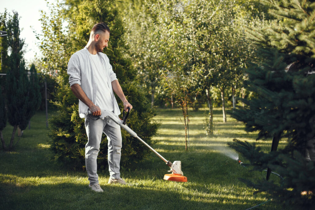 lawn maintenance