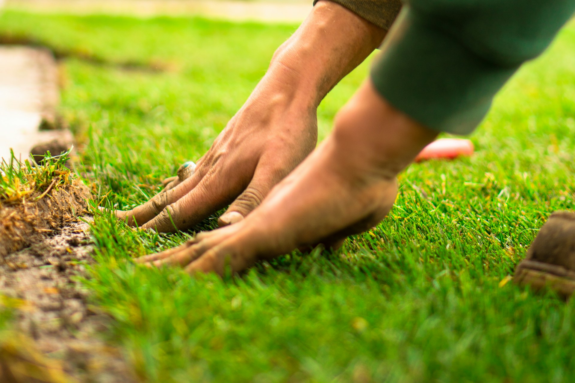 hands in the grass